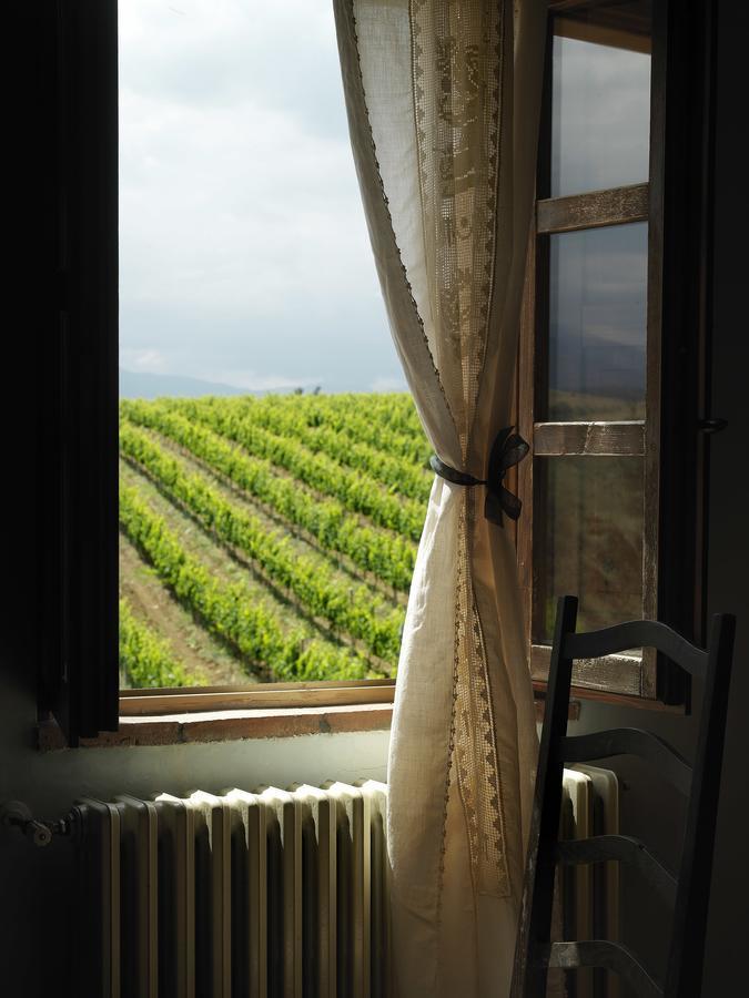 Contado San Lorenzo B&B And Wine Castilenti Luaran gambar